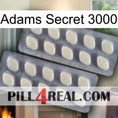 Adams Secret 3000 07